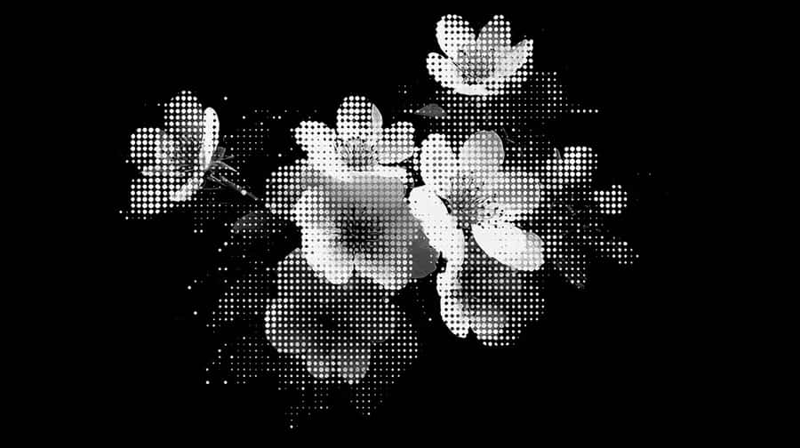 Nocturne, collection of background wallpapers