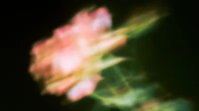 Bloomhaze, collection of background wallpapers