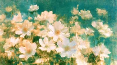 White and cream flowers with yellow centers on teal green background, soft impressionistic style