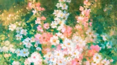 Lush garden of pink, white, and cream daisies with green foliage, soft natural lighting