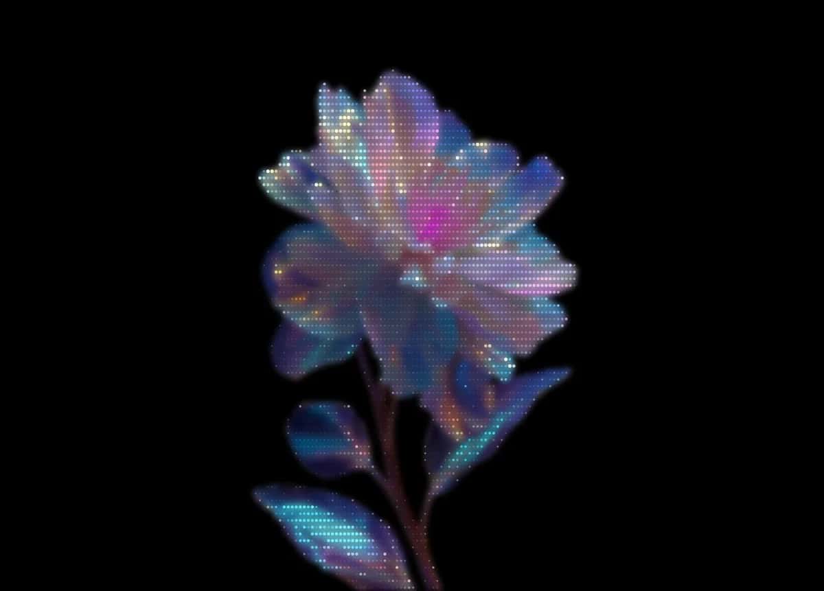 Ethereal glowing flower with iridescent petals in blue, purple, and pink hues against black background