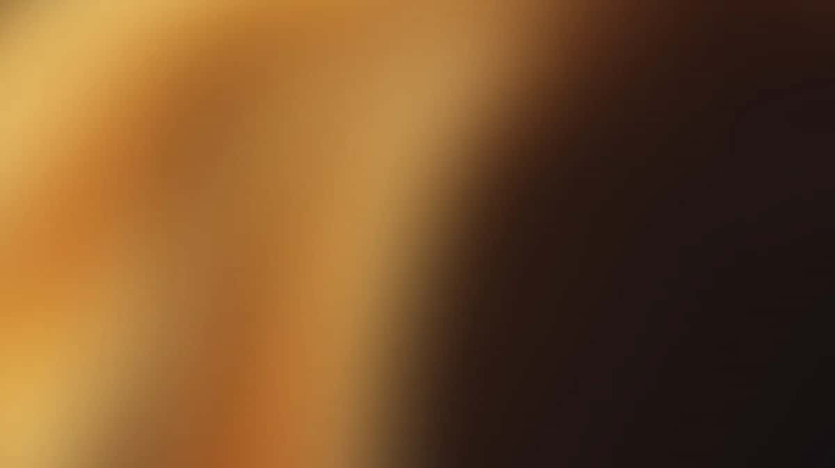 Warm gradient background transitioning from golden orange to deep brown and black