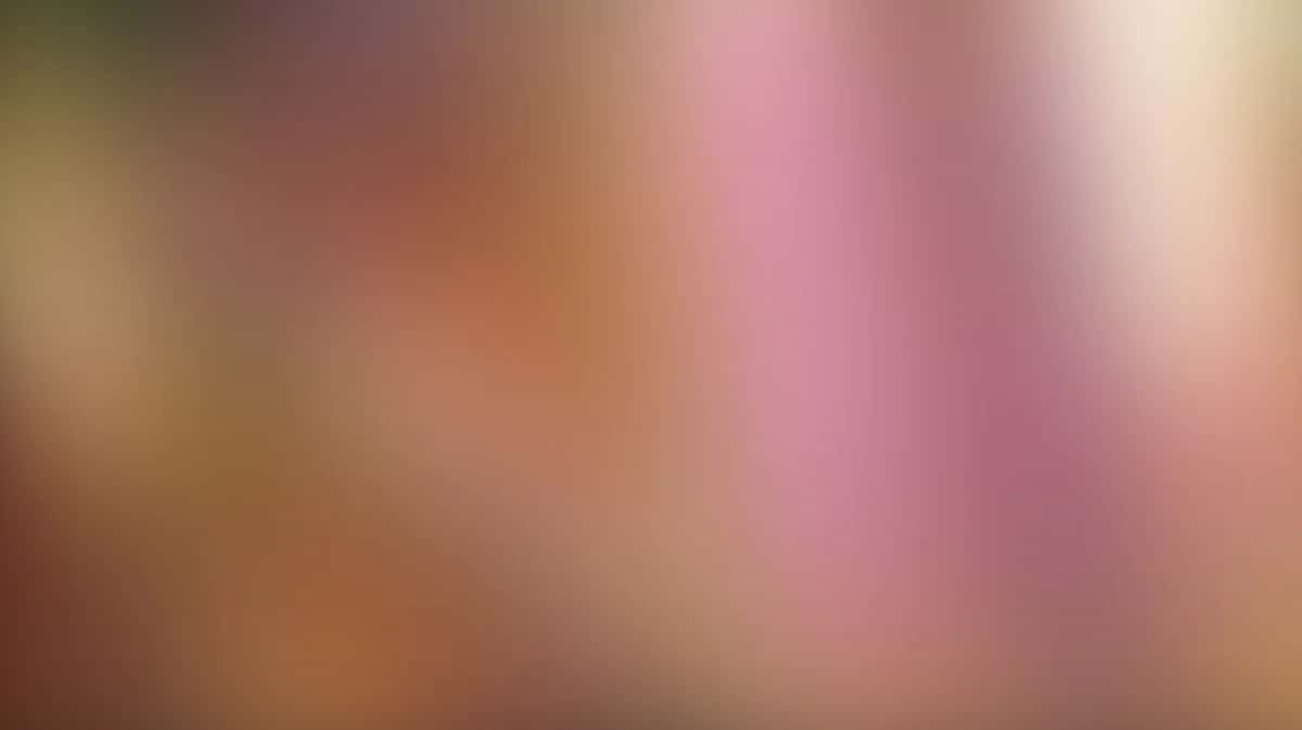 Soft blurred gradient background transitioning pink, peach, and cream tones