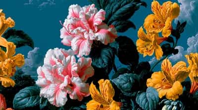 Pink-and-white peonies and golden-yellow blooms with dark leaves on a teal background