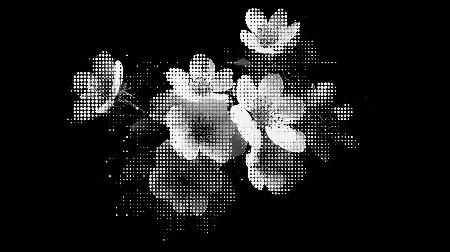 Nocturne, collection of background wallpapers
